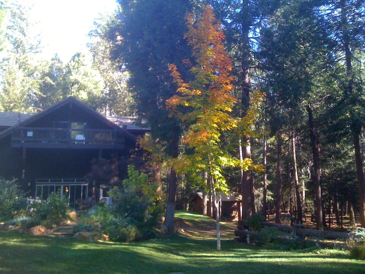 Harmony Ridge Lodge Nevada City Eksteriør billede
