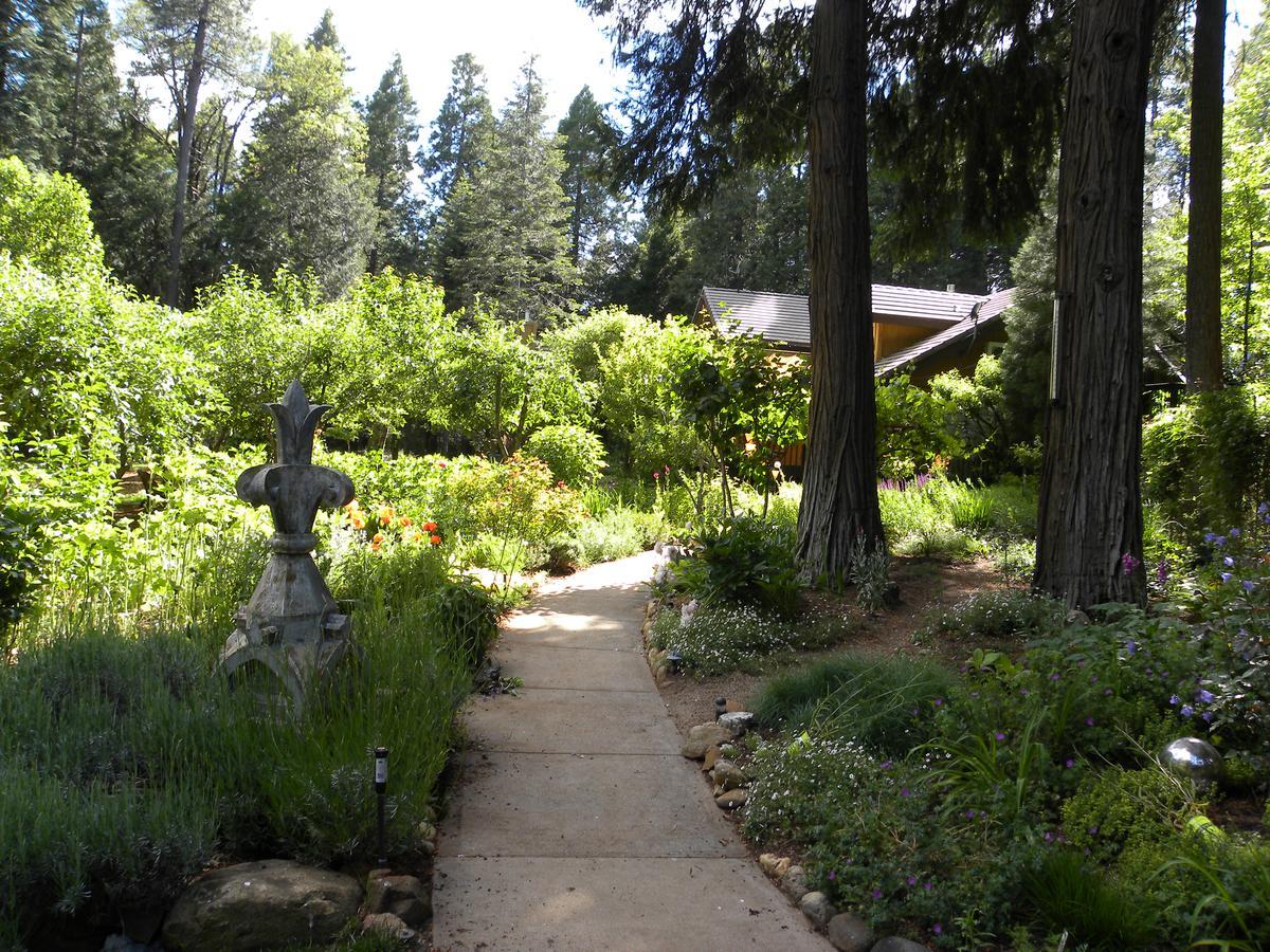 Harmony Ridge Lodge Nevada City Eksteriør billede