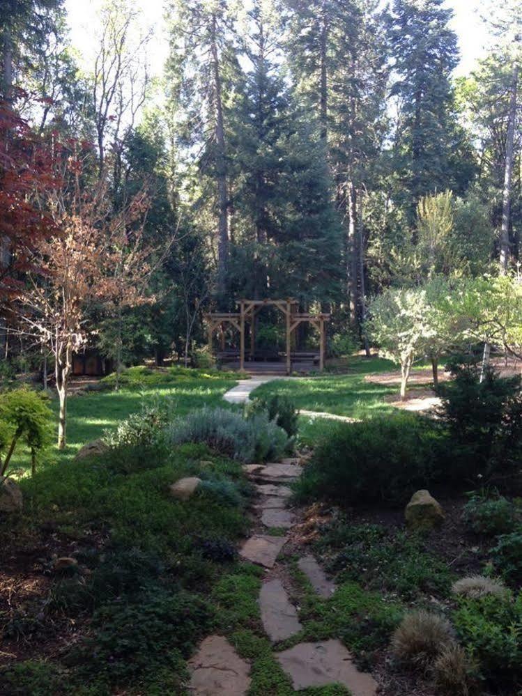 Harmony Ridge Lodge Nevada City Eksteriør billede