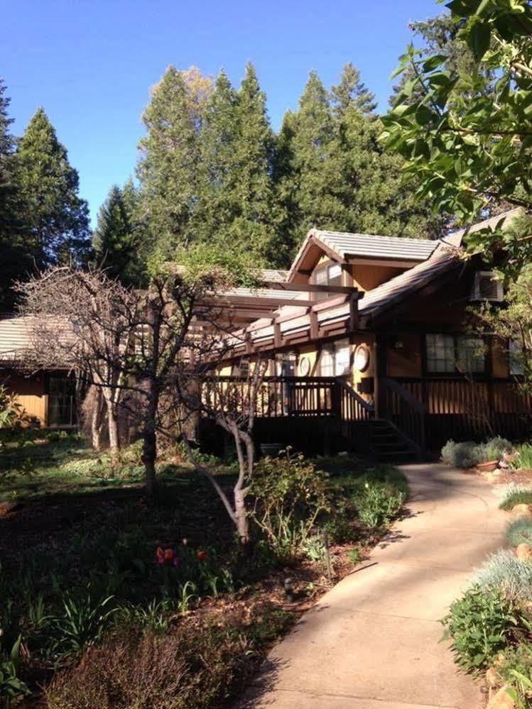 Harmony Ridge Lodge Nevada City Eksteriør billede