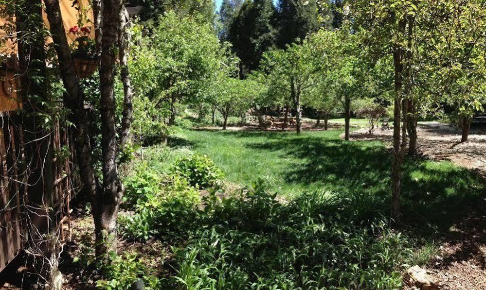 Harmony Ridge Lodge Nevada City Eksteriør billede